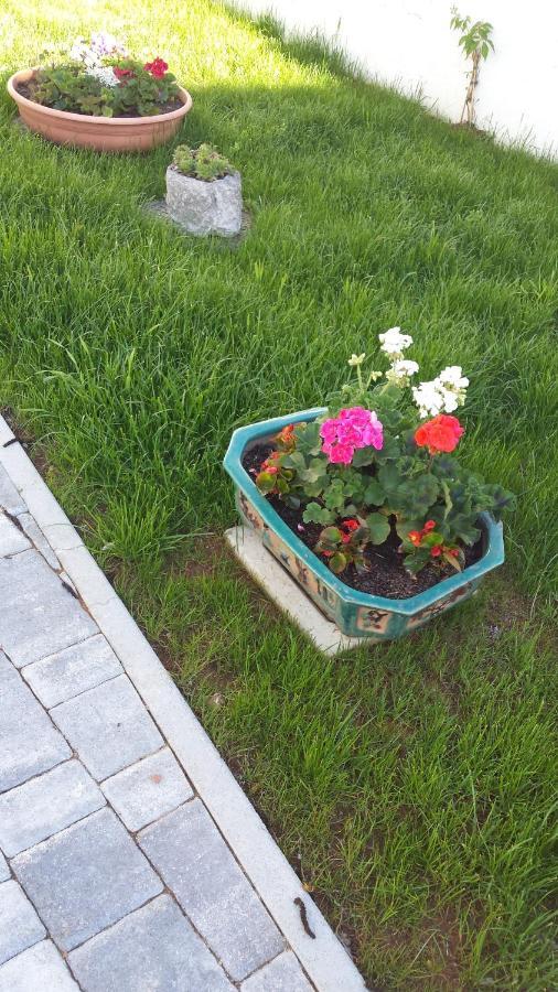 Moonflower Pliskovica 外观 照片